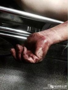 南京游客爆料事件最新,揭秘背后真相与反思 第3张 南京游客爆料事件最新,揭秘背后真相与反思 第3张